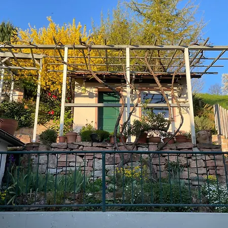 Am Berggarten * Heidelberg