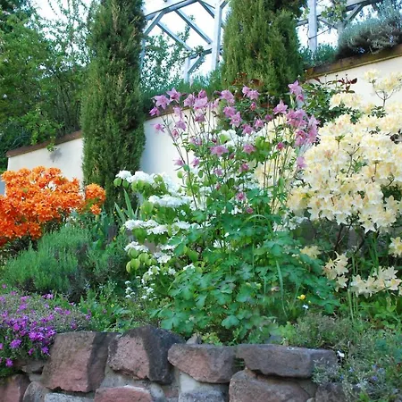 Am Berggarten Lejlighed Heidelberg